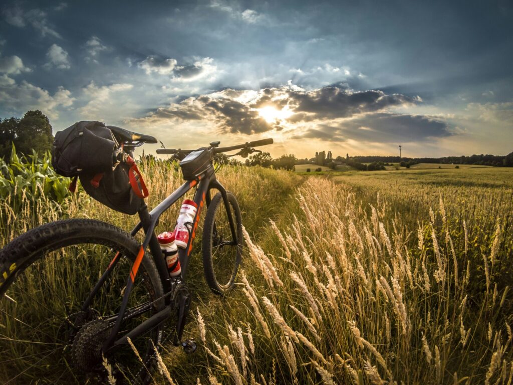 自転車散策