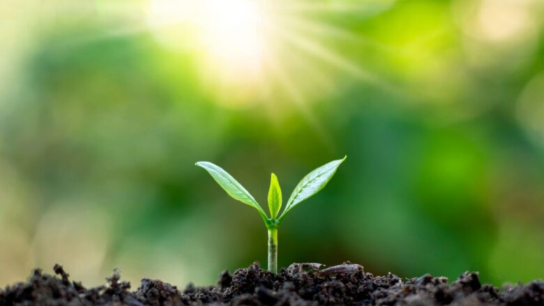 お家で稼ぐ副業で失敗しないコツ